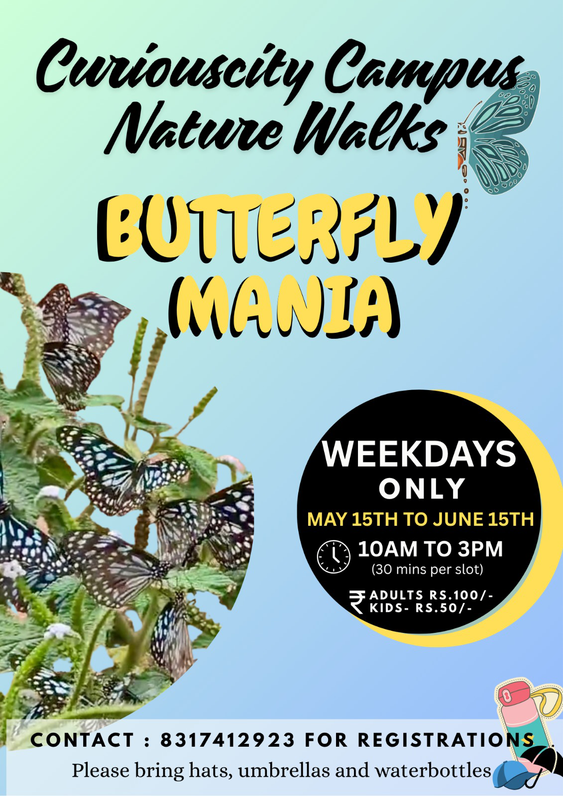 Butterfly Camp