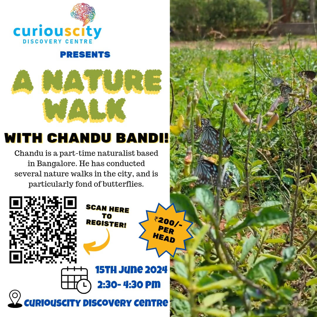 Nature Walk